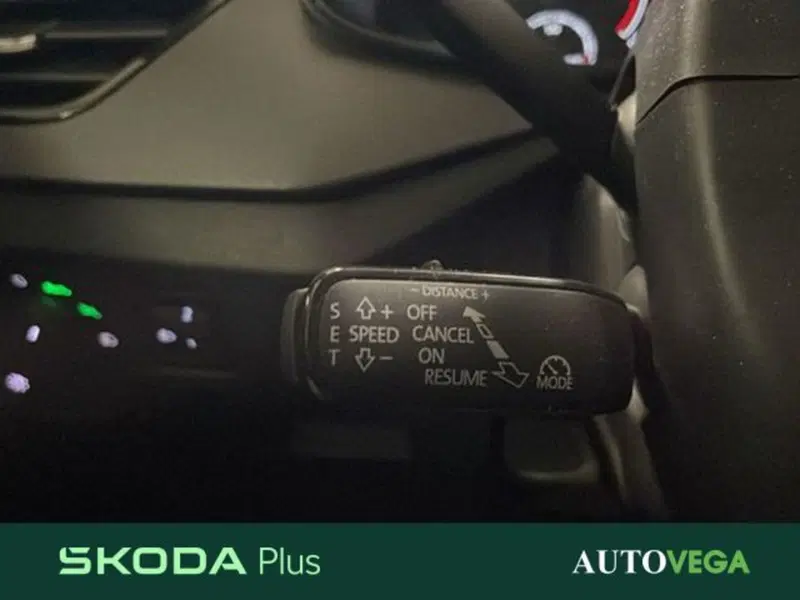 Skoda Kamiq usata a Vicenza (16)