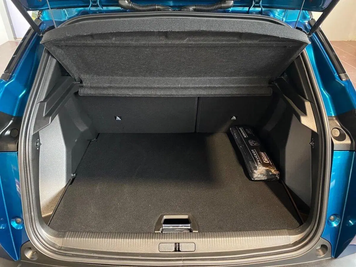 Peugeot 2008 usata a Torino (9)