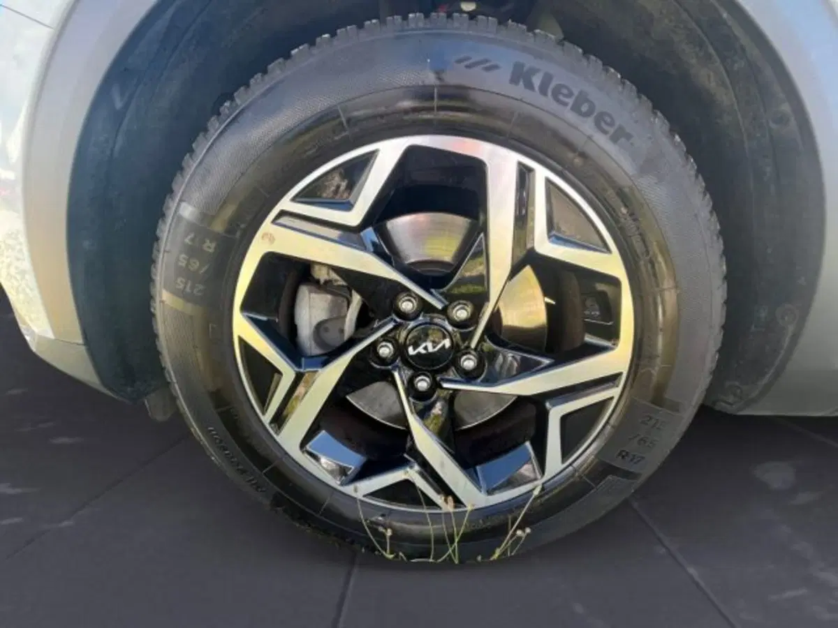 Kia Sportage usata a Udine (15)