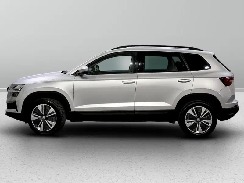 Skoda Karoq usata a Padova (2)