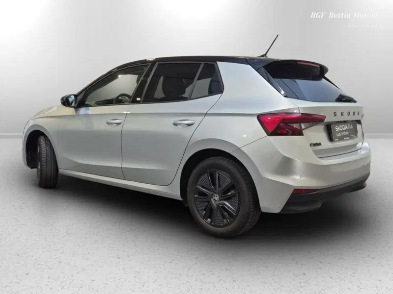Skoda Fabia usata a Padova (3)