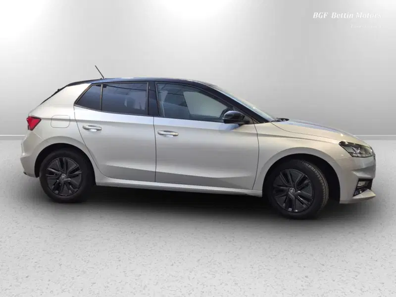 Skoda Fabia usata a Padova (5)
