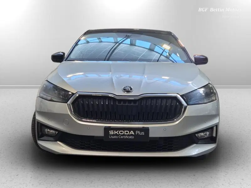 Skoda Fabia usata a Padova (7)