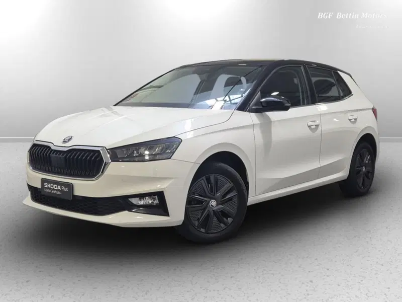 Skoda Fabia usata a Padova