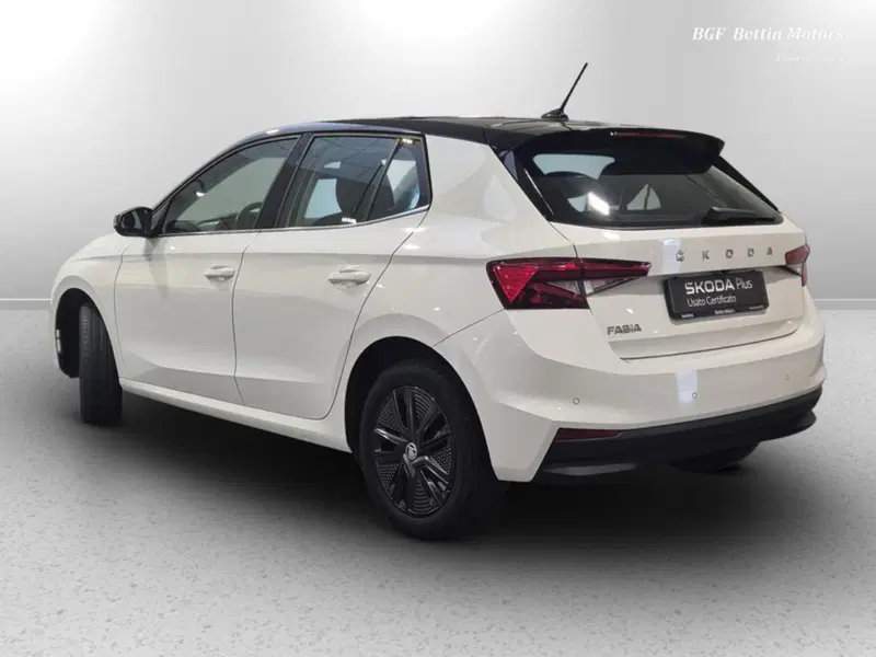 Skoda Fabia usata a Padova (3)