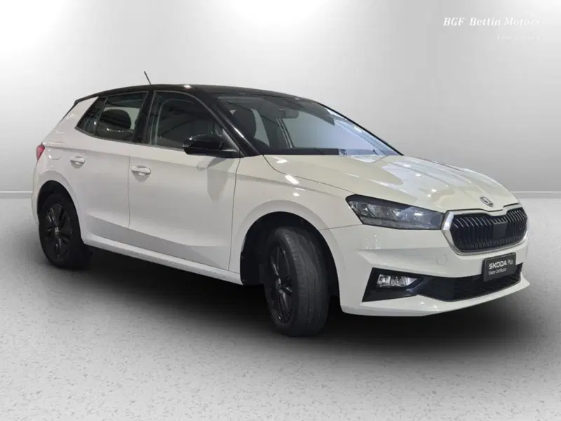 Skoda Fabia usata a Padova (4)