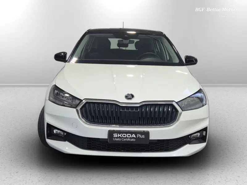 Skoda Fabia usata a Padova (7)