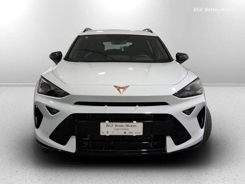 Cupra Formentor usata a Padova (7)