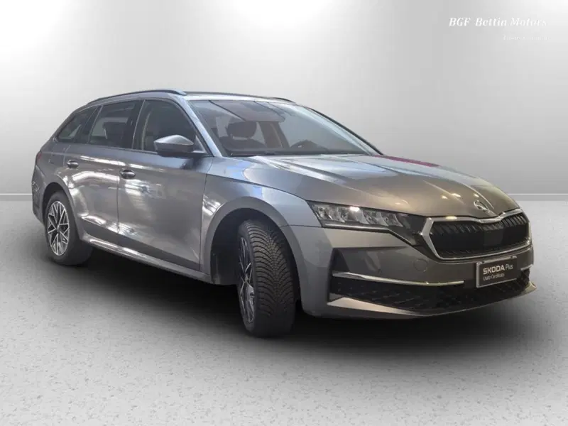 Skoda Octavia Station Wagon usata a Padova (6)