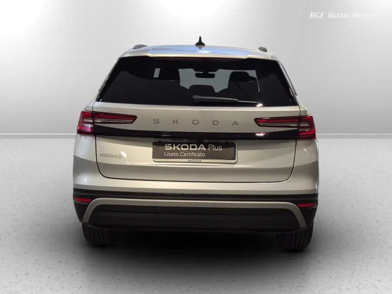 Skoda Kodiaq usata a Padova (8)