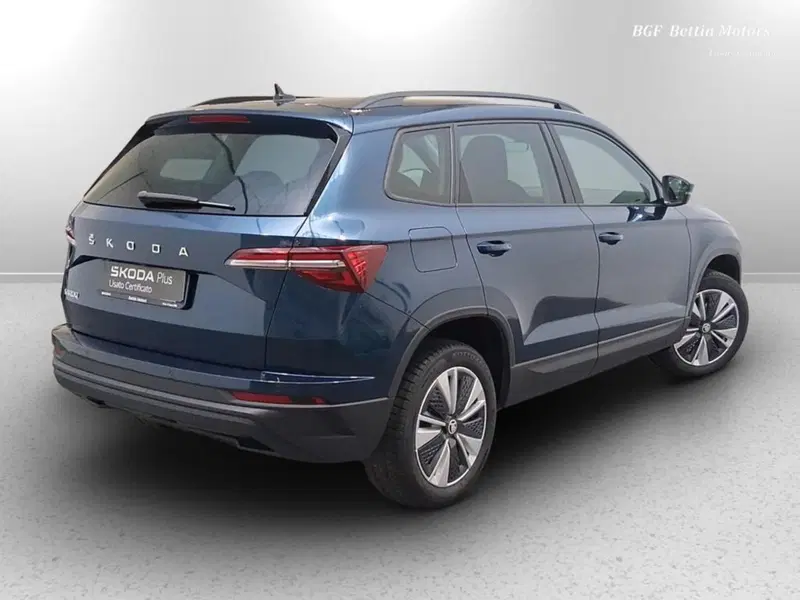 Skoda Karoq usata a Padova (4)