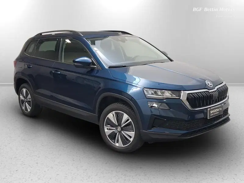 Skoda Karoq usata a Padova (6)