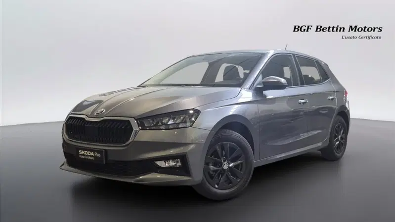 Skoda Fabia usata a Padova