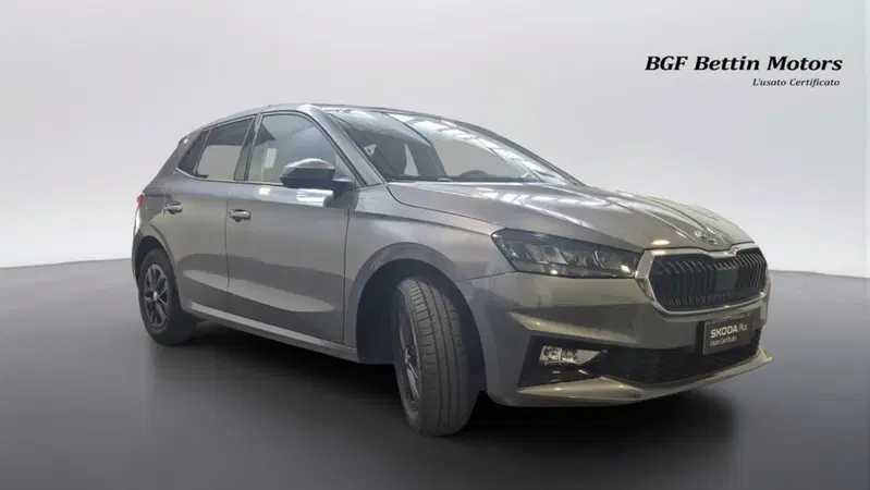 Skoda Fabia usata a Padova (4)