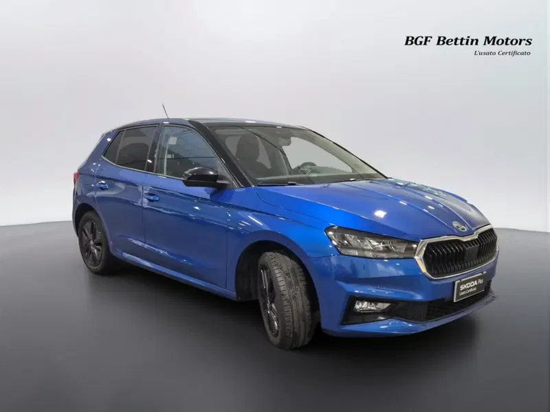 Skoda Fabia usata a Padova (5)