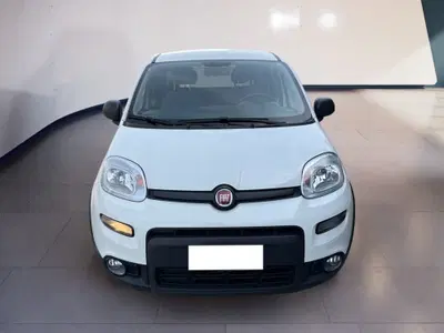 Fiat Panda van 1.0 hybrid Street 70cv 4p.ti serie 4 E6d del 2022 usata a Torino