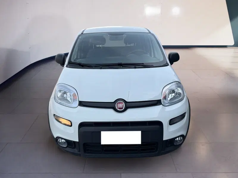 Fiat Panda usata a Torino