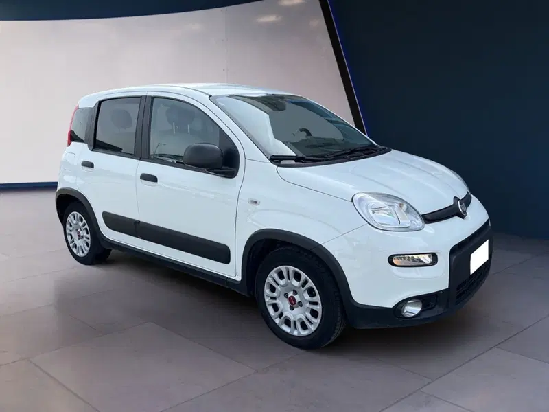 Fiat Panda usata a Torino (2)