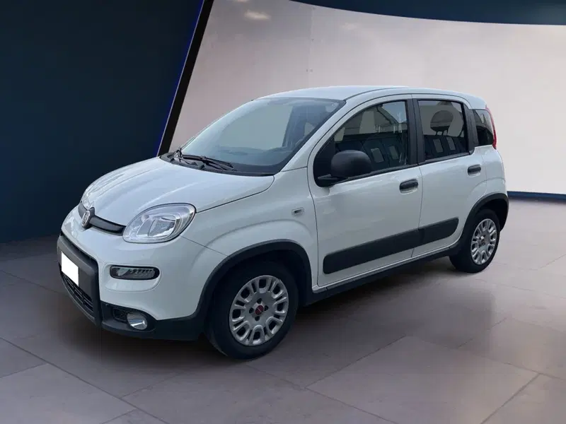 Fiat Panda usata a Torino (3)