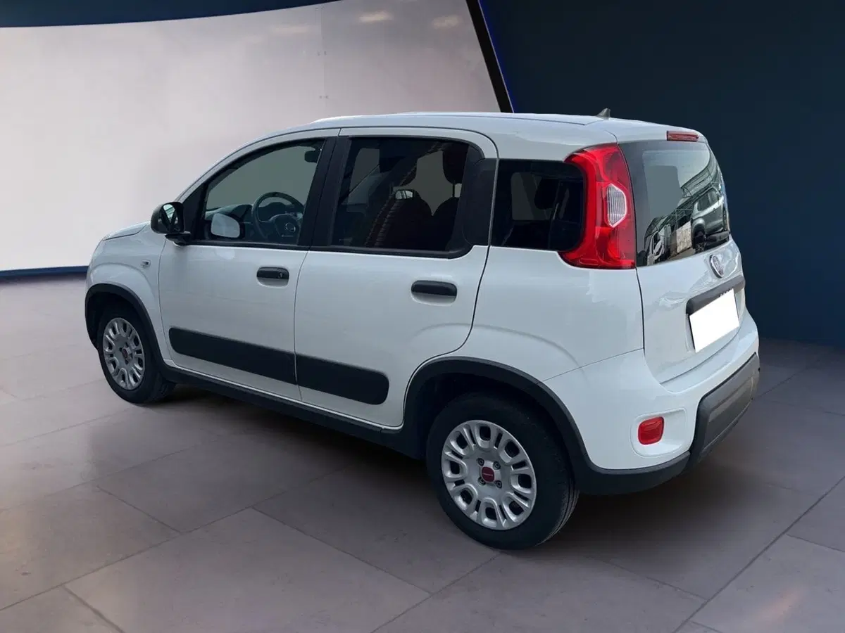 Fiat Panda usata a Torino (4)