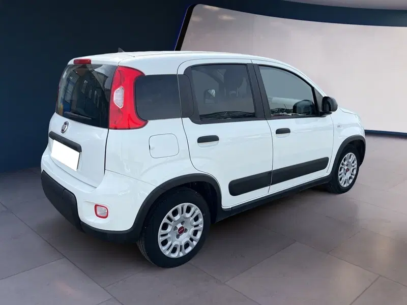 Fiat Panda usata a Torino (6)