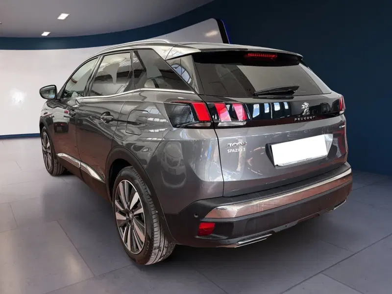 Peugeot 3008 usata a Torino (4)