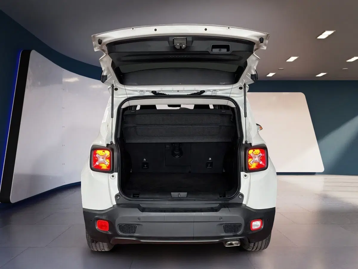 Jeep Renegade usata a Torino (7)