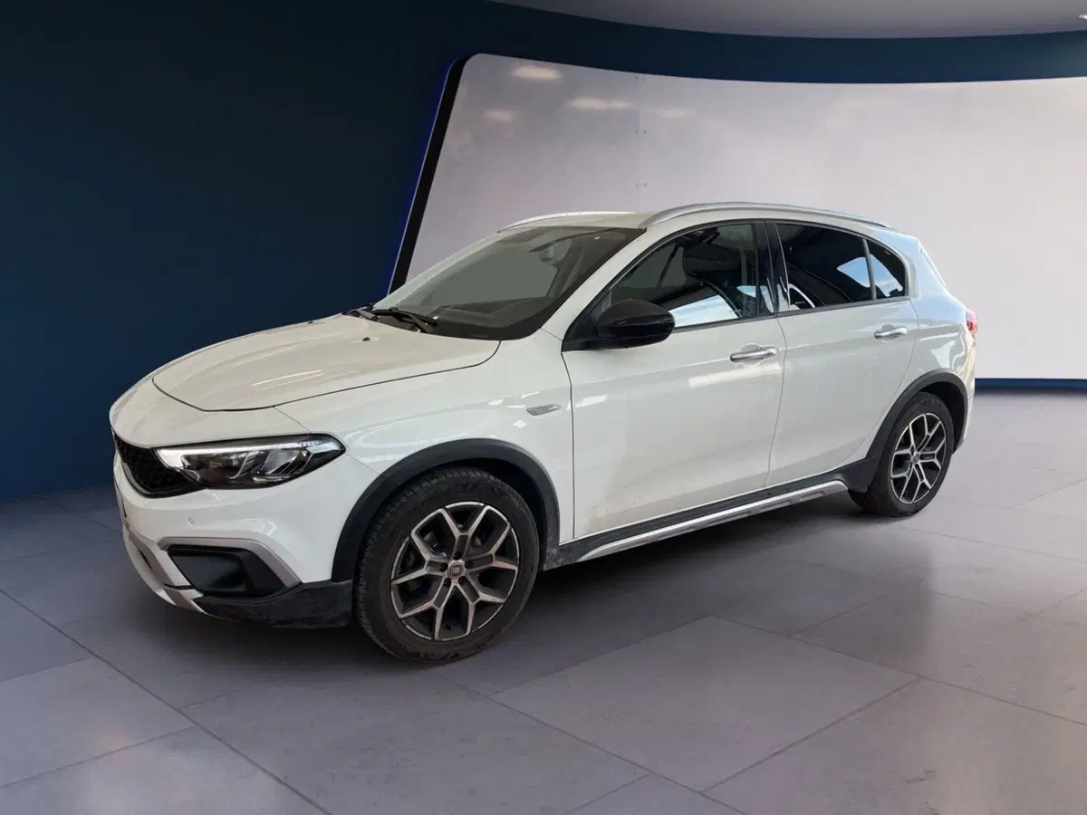 Fiat Tipo usata a Torino (2)