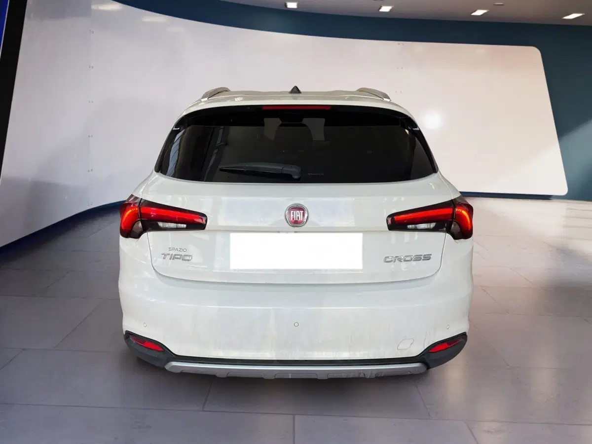 Fiat Tipo usata a Torino (5)