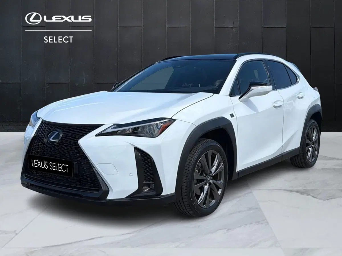 Lexus UX usata a Siracusa