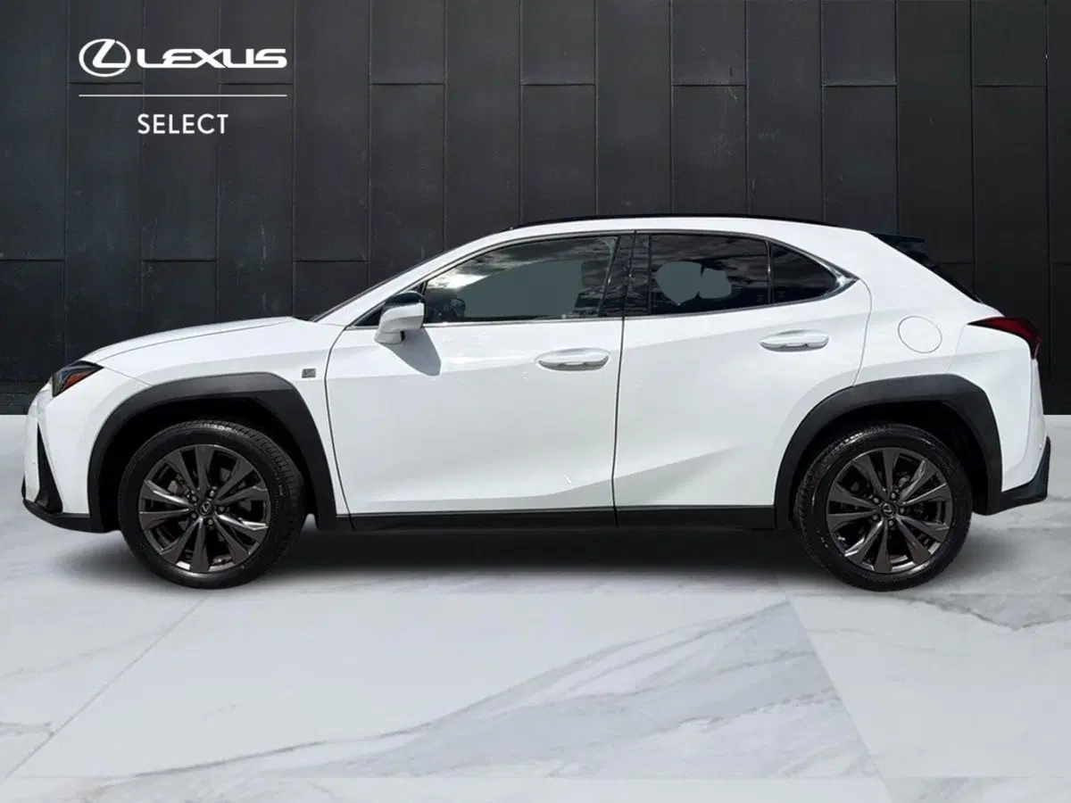 Lexus UX usata a Siracusa (3)