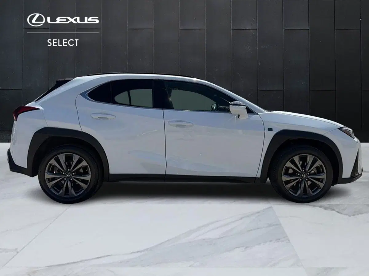 Lexus UX usata a Siracusa (4)