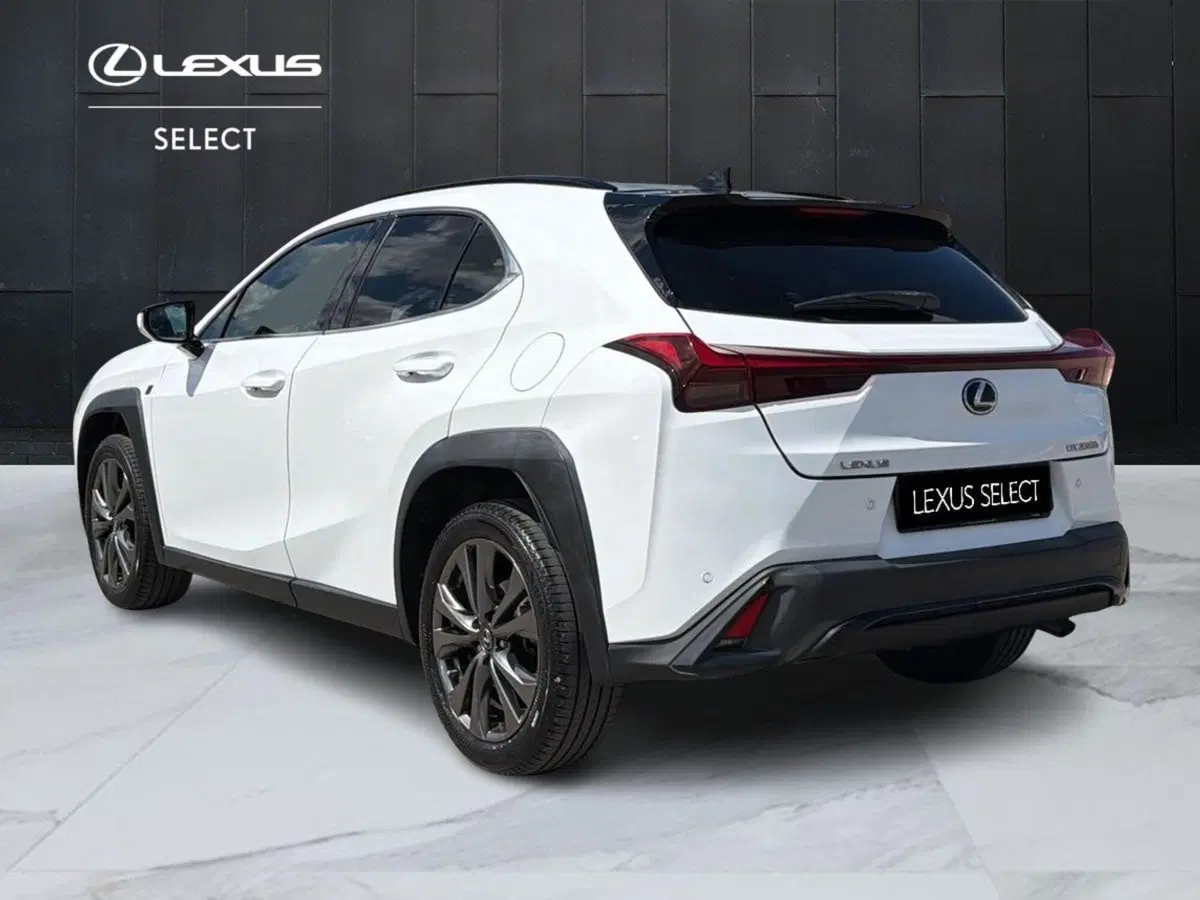 Lexus UX usata a Siracusa (5)