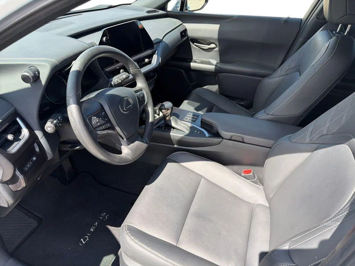 Lexus UX usata a Siracusa (7)