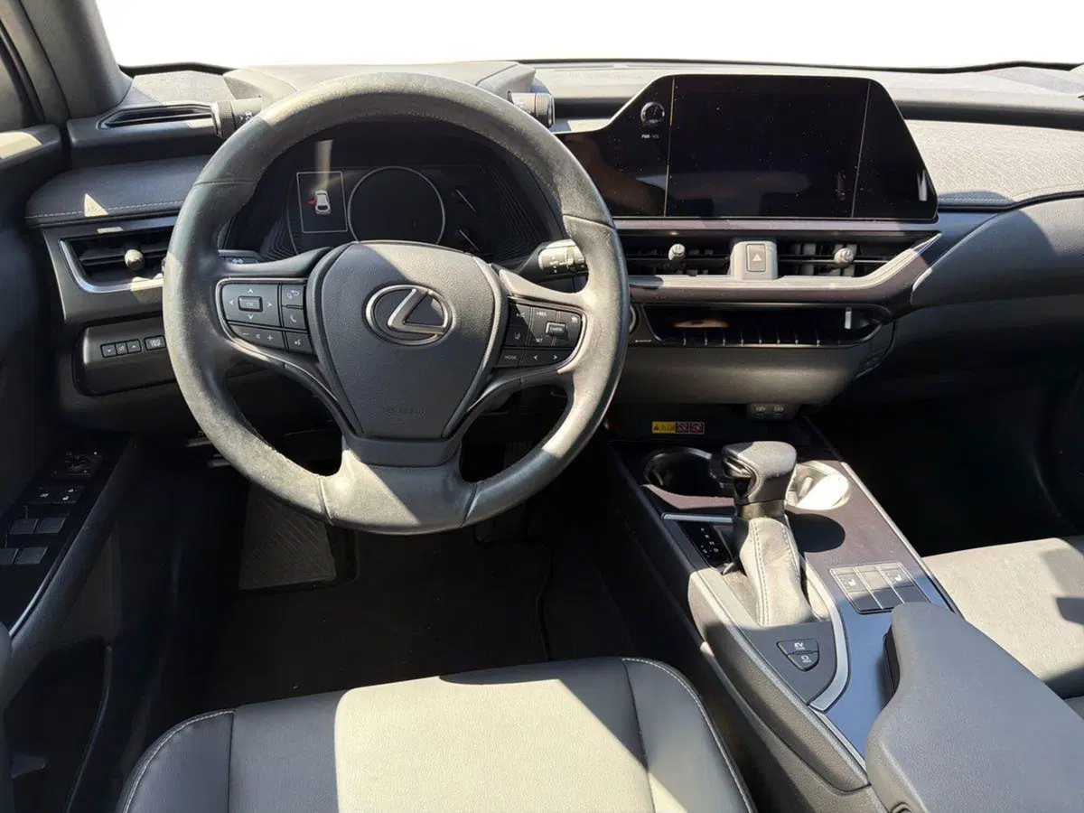 Lexus UX usata a Siracusa (8)