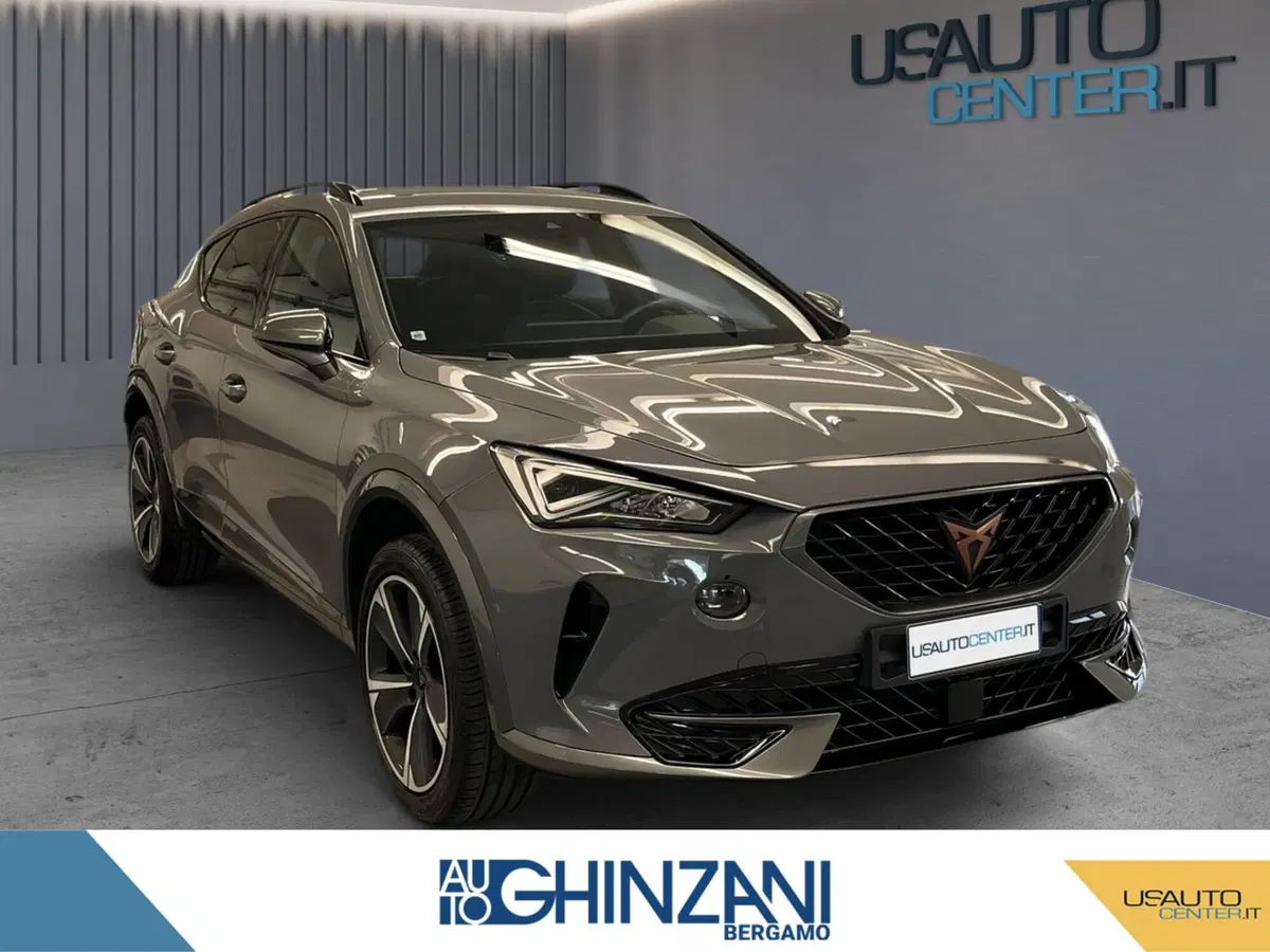 Cupra Formentor usata a Bergamo (2)