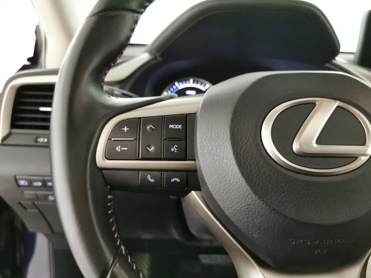 Lexus RX usata a Roma (10)