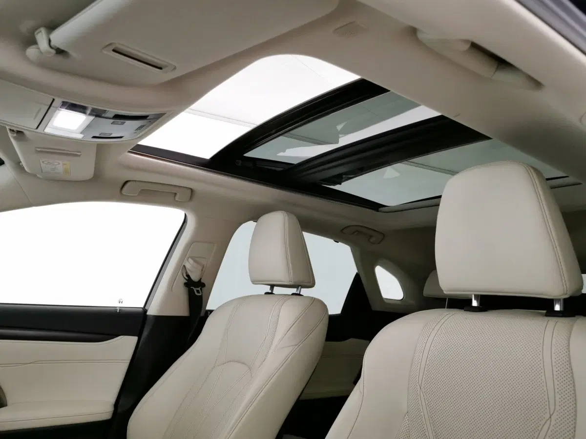 Lexus RX usata a Roma (18)