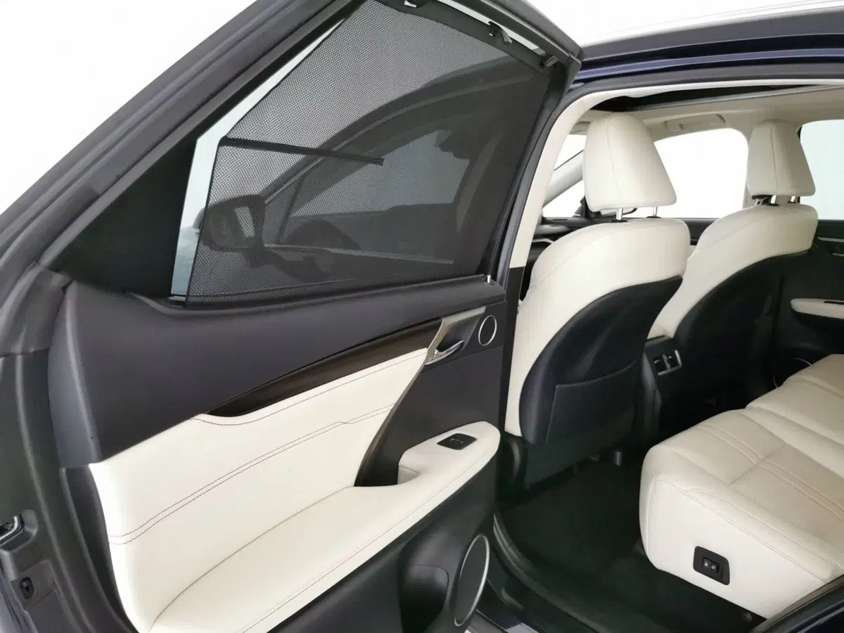 Lexus RX usata a Roma (20)