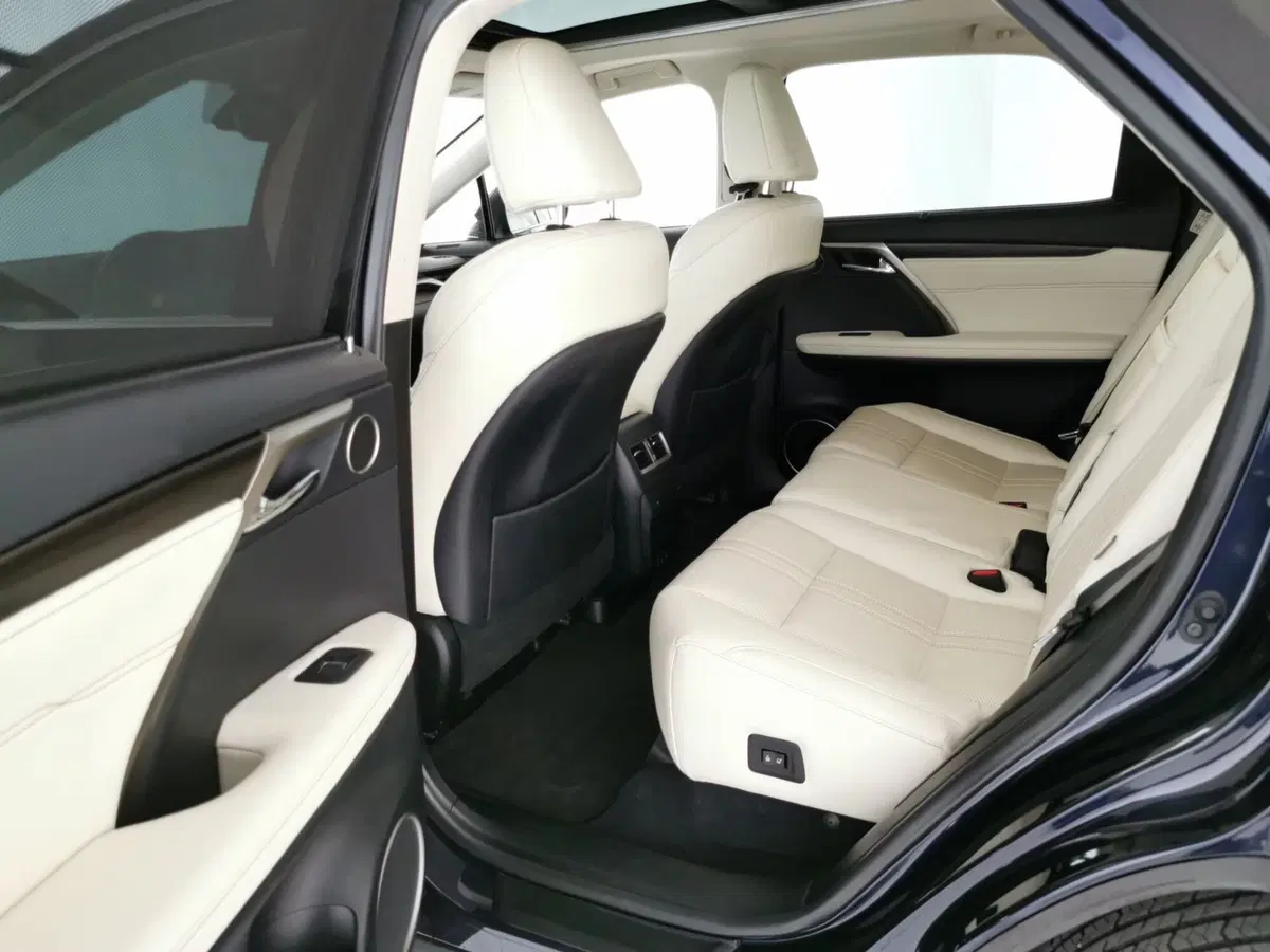 Lexus RX usata a Roma (6)