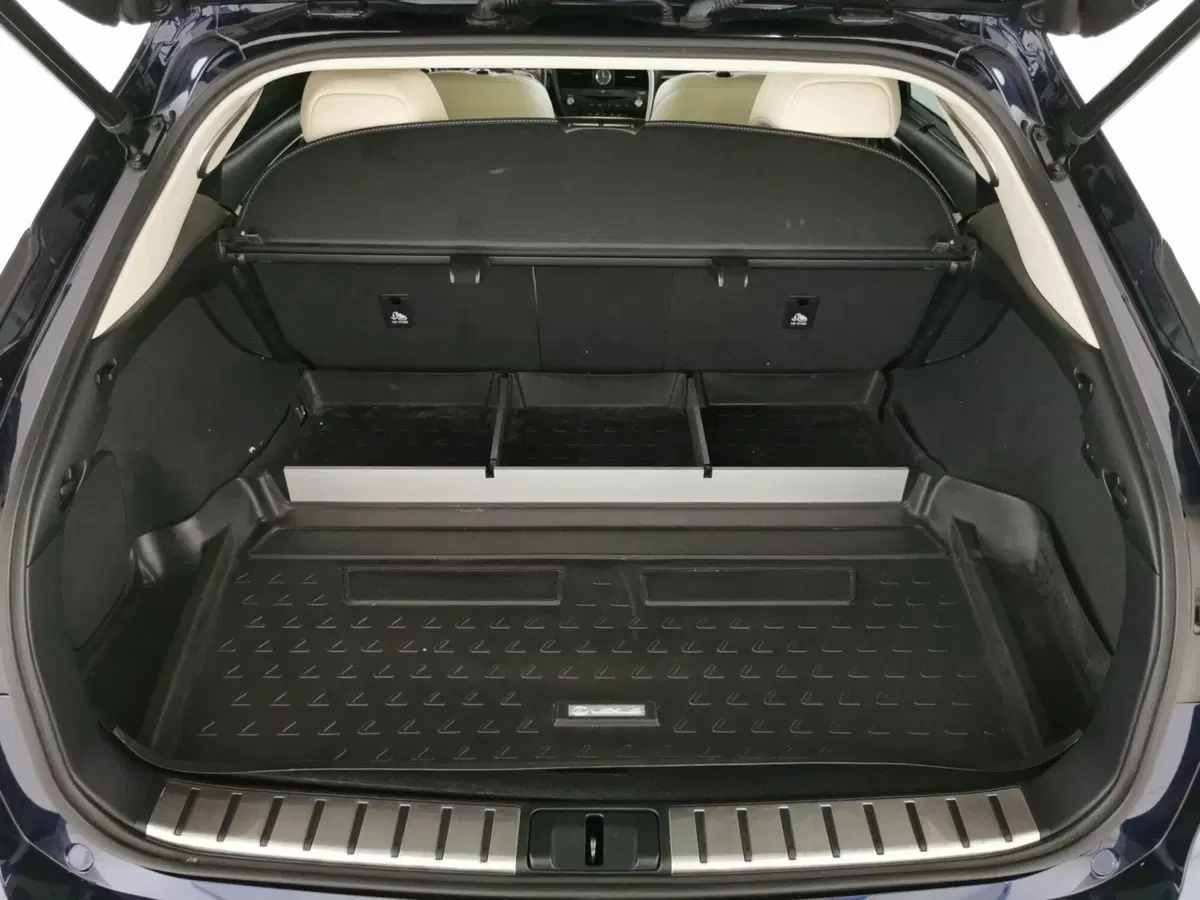 Lexus RX usata a Roma (7)