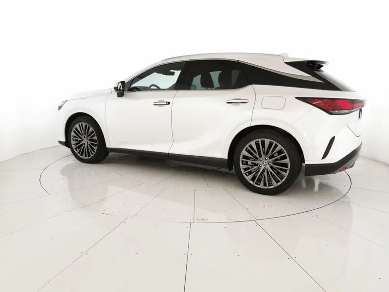 Lexus RX usata a Chieti (2)