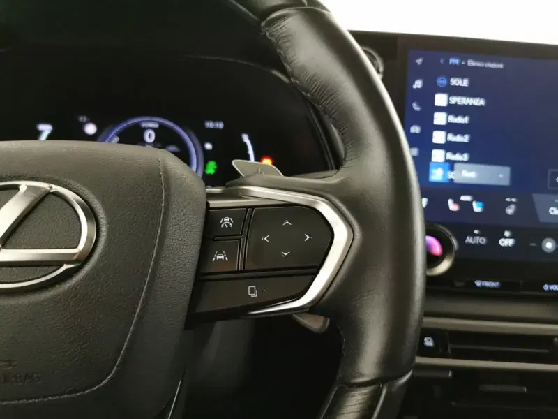 Lexus RX usata a Chieti (9)