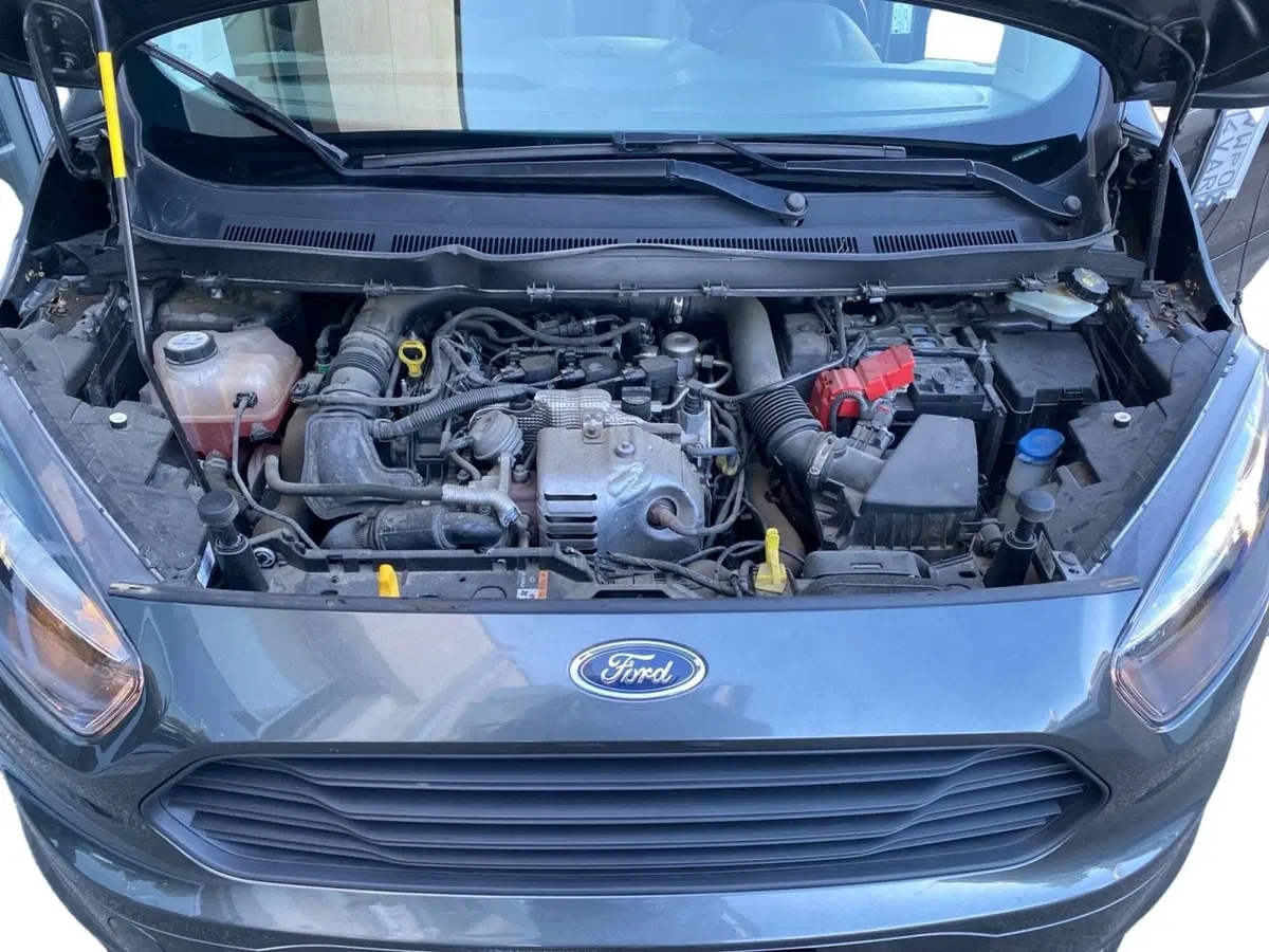 Ford Tourneo Connect usata a Bologna (12)