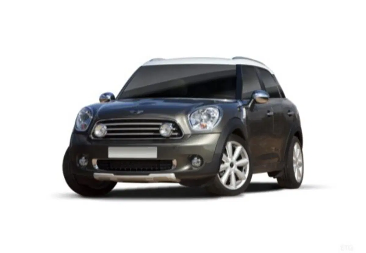 MINI Mini Countryman usata a Parma (3)