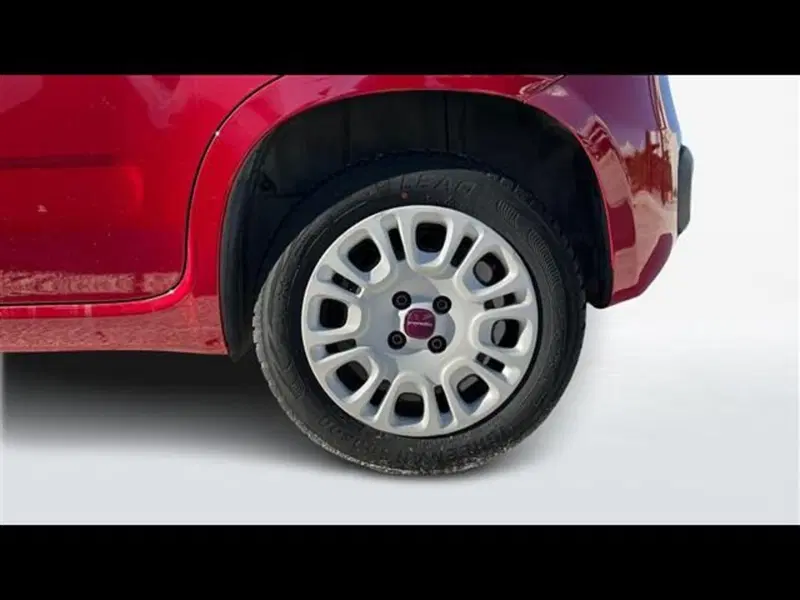 Fiat Panda usata a Firenze (15)