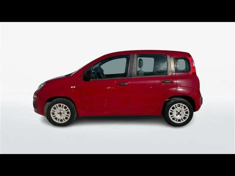 Fiat Panda usata a Firenze (2)