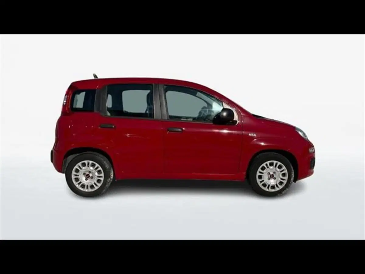 Fiat Panda usata a Firenze (4)