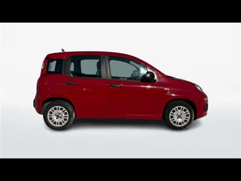 Fiat Panda usata a Firenze (4)