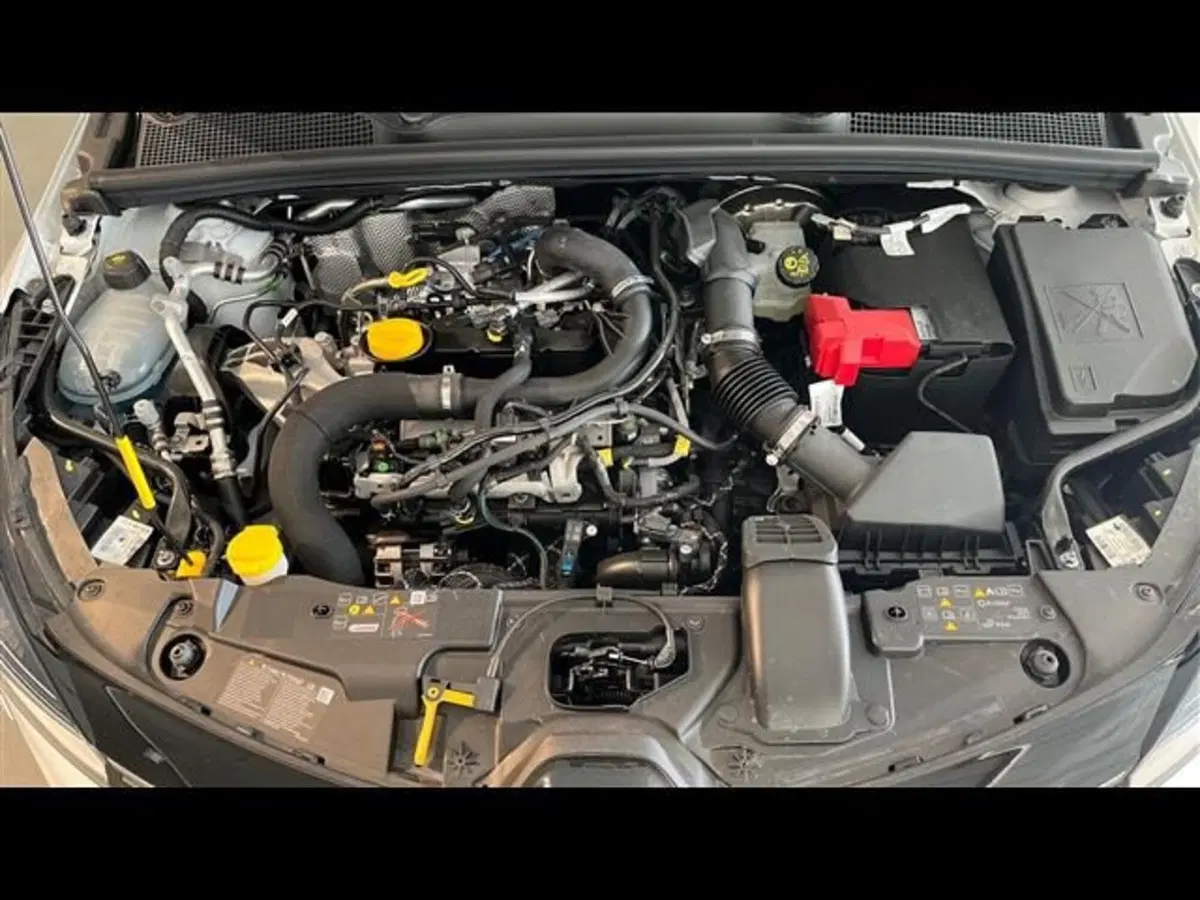 Renault Clio usata a Firenze (13)